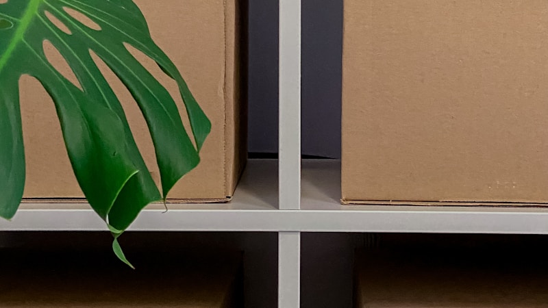 日用品を買いだめするメリットとは?無駄なく備えて節約につなげるコツをやさしく解説